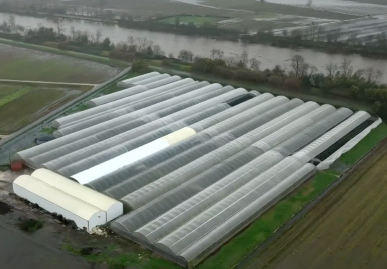 Risk of dyke collapse in Coimbra